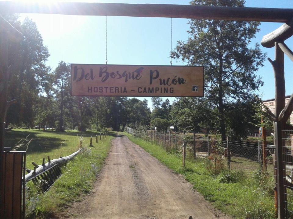 Hosteria Y Camping Del Bosque Pucon Exterior photo