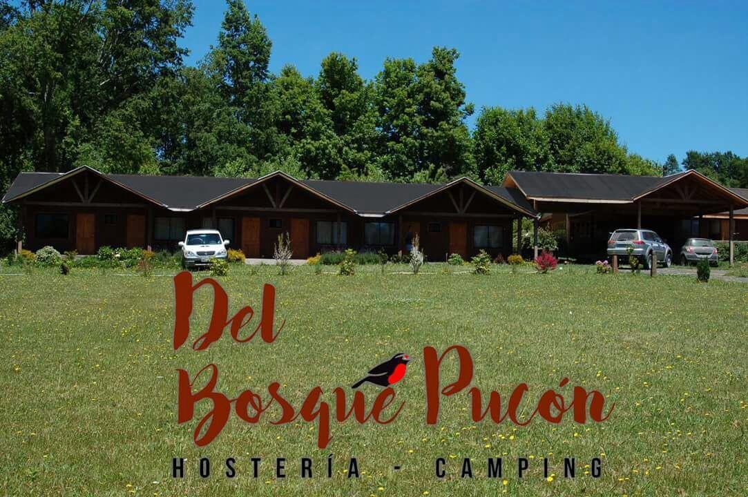 Hosteria Y Camping Del Bosque Pucon Exterior photo
