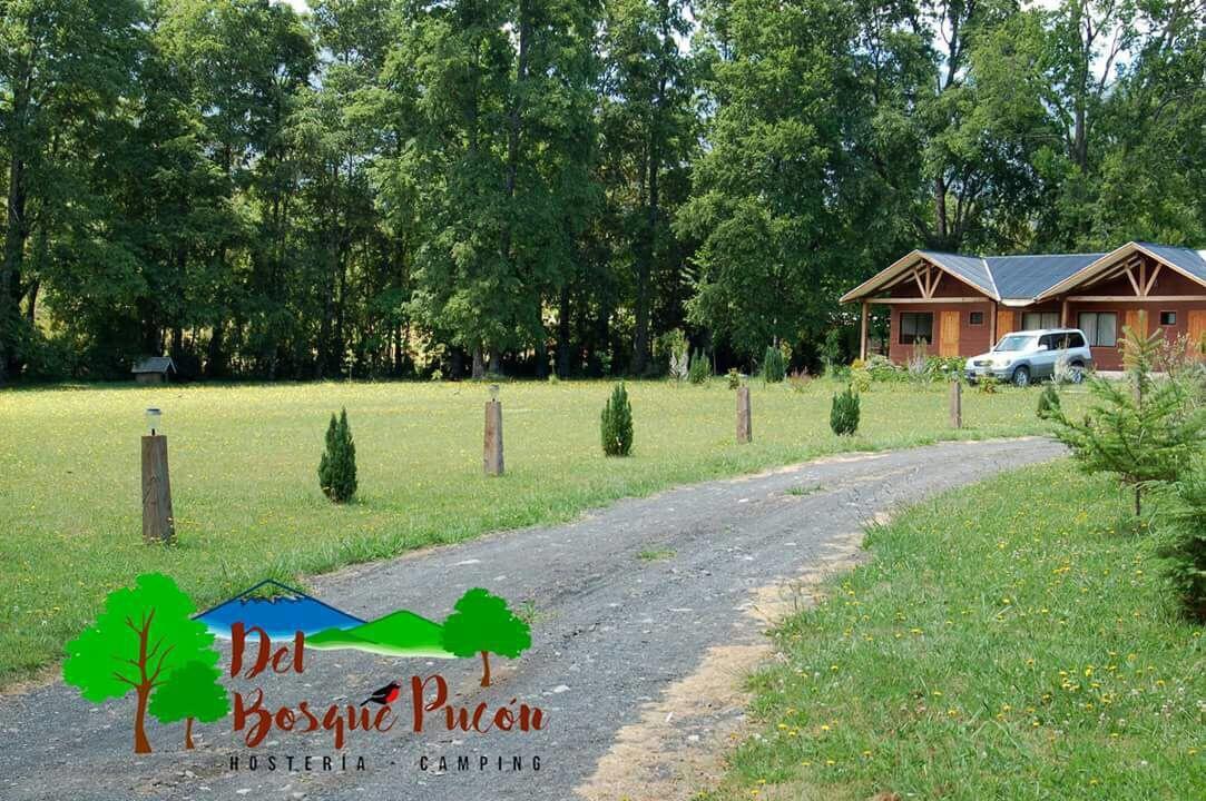 Hosteria Y Camping Del Bosque Pucon Exterior photo