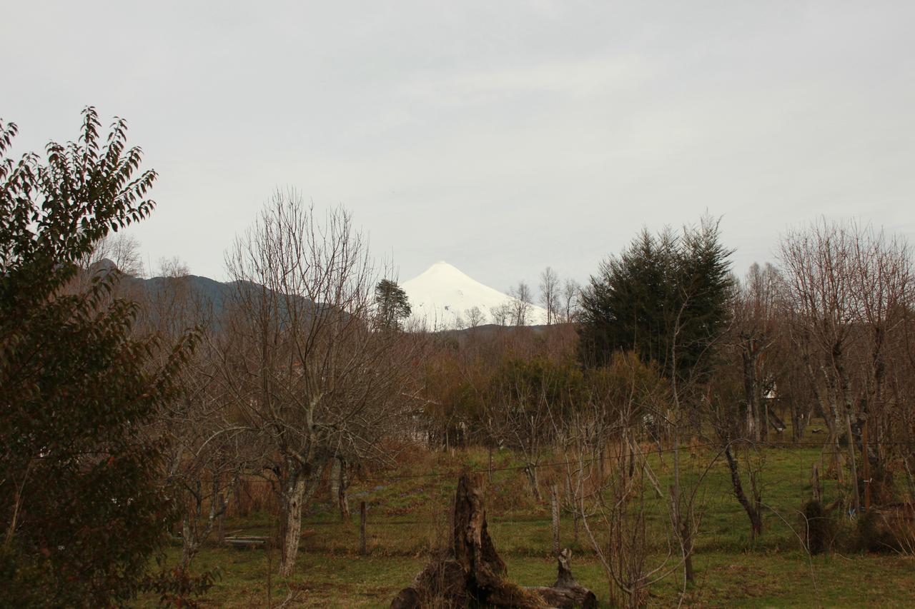 Hosteria Y Camping Del Bosque Pucon Exterior photo